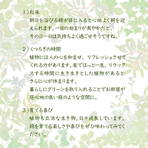 グリーンインテリア スタンドミラー 姿見 ガラス インテリア グリーン 観葉植物 シャビー 多肉植物 棚 ラック おしゃれ シンプル 一人暮らし 木製 古材 jk-faw-0008の画像