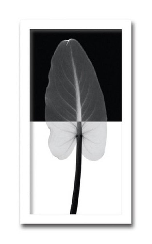 インテリアアート Steven N Meyers Calla Leaf I ヒモ付 AS-11413 店舗 カフェ ラウンジ ロビー ホテル 法人 kar-3097169s1の画像