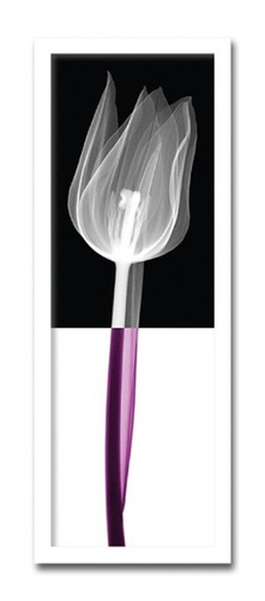 インテリアアート Steven N Meyers Stem III ヒモ付 AS-11428 店舗 カフェ ラウンジ ロビー ホテル 法人 kar-3097173s1の画像