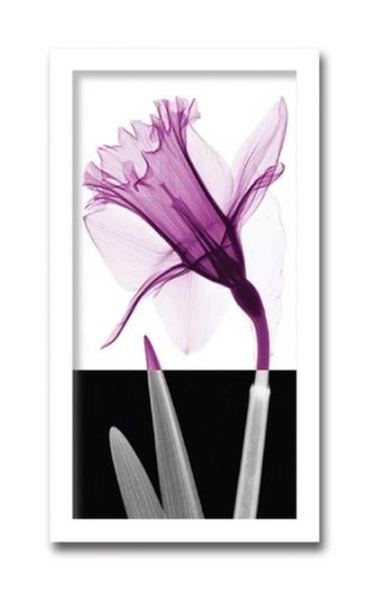 インテリアアート Steven N Meyers Stem IV ヒモ付 AS-11429 店舗 カフェ ラウンジ ロビー ホテル 法人 kar-3097174s1の画像