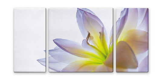 CANVAS ART キャンバスアート lily ユリ Lサイズ W1000×H500 3枚組 US-2012 店舗 カフェ ラウンジ ロビー ホテル 法人 kar-4999362s2の画像