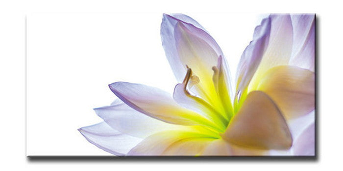 CANVAS ART キャンバスアート Lily リリー Mサイズ W600×H300×D20mm US-5012 店舗 カフェ ラウンジ ロビー ホテル 法人 kar-6248601s2の画像