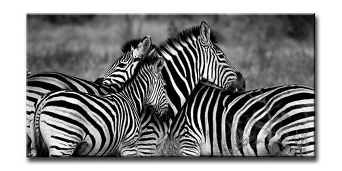 CANVAS ART キャンバスアート Zebra-Mono ゼブラ Lサイズ W1000×H500×D40mm US-6013 店舗 カフェ ラウンジ ロビー ホテル 法人 kar-6248605s1の画像