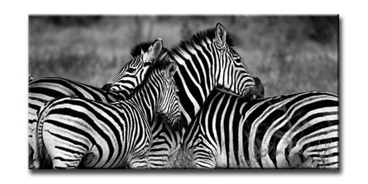 CANVAS ART キャンバスアート Zebra-Mono ゼブラ Lサイズ W1000×H500×D40mm US-6013 kar-6248605s1