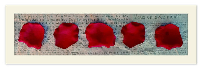 レクタングルアートS ペタレス・ド・ローズ・ルージュ Petales de rose Rouge RP-1001WH フレームカラー：ホワイト 店舗 カフェ ラウンジ ロビー ホテル 法人 kar-9945839s4の画像