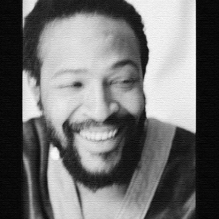 デニス モリス マービン ゲイ Dennis Morris Marvin Gaye Mサイズ 30cm×30cm アートパネル ファブリックパネル アートボード インテリアパネル 壁掛け 日本製 ラッピング付き lib-dms-0024-m