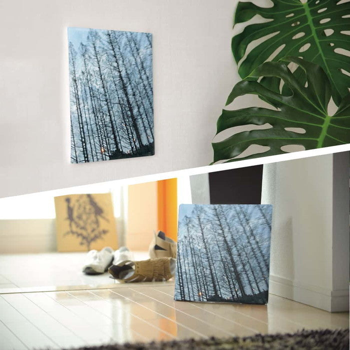 秦義之 森 Yoshiyuki Hata Lサイズ 57cm×57cm アートパネル ファブリックパネル アートボード 壁掛け 日本製 ラッピング付き 店舗 カフェ ラウンジ ロビー ホテル 法人 lib-hat-0009-lの画像