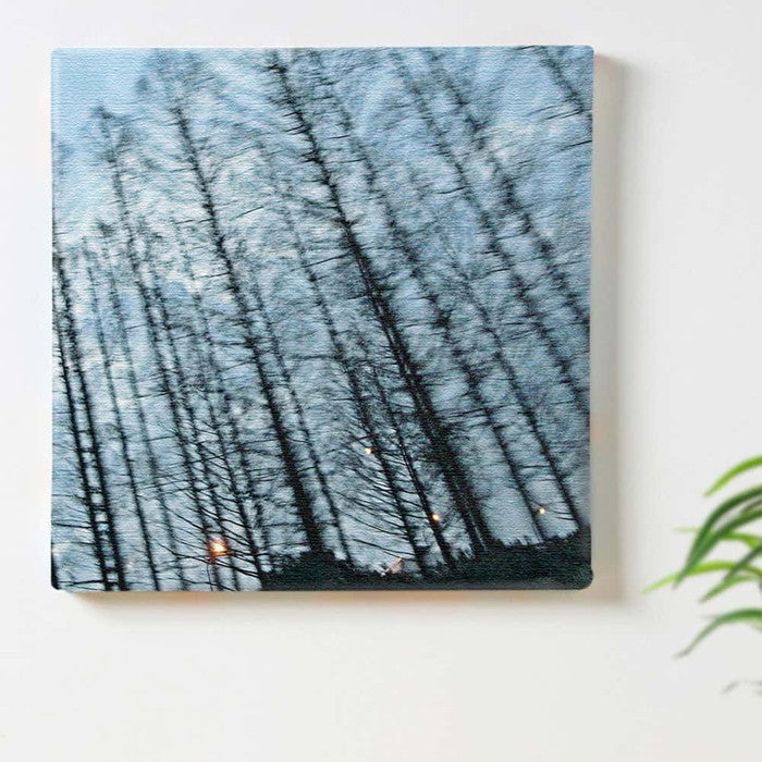 秦義之 森 Yoshiyuki Hata Mサイズ 30cm×30cm アートパネル ファブリックパネル アートボード 壁掛け 日本製 ラッピング付き 店舗 カフェ ラウンジ ロビー ホテル 法人 lib-hat-0009-mの画像