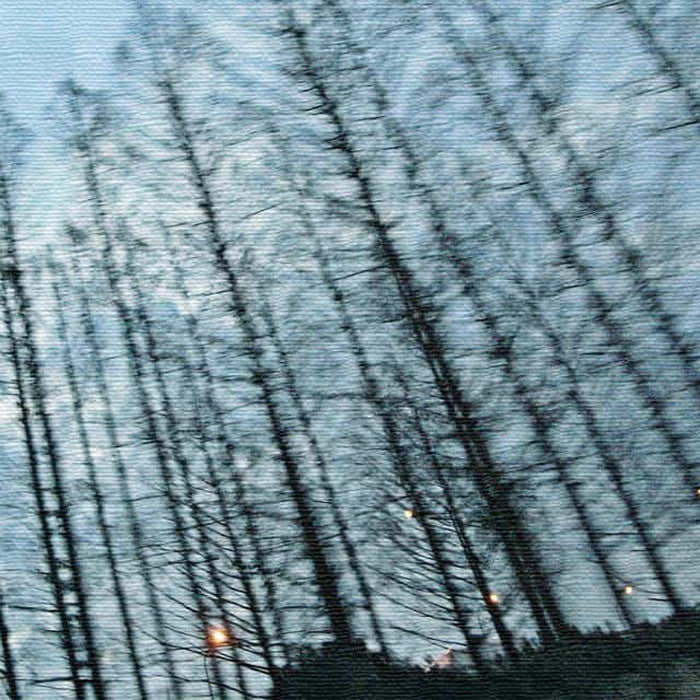 秦義之 森 Yoshiyuki Hata Sサイズ 15cm×15cm アートパネル ファブリックパネル アートボード 壁掛け 日本製 ラッピング付き 店舗 カフェ ラウンジ ロビー ホテル 法人 lib-hat-0009-sの画像