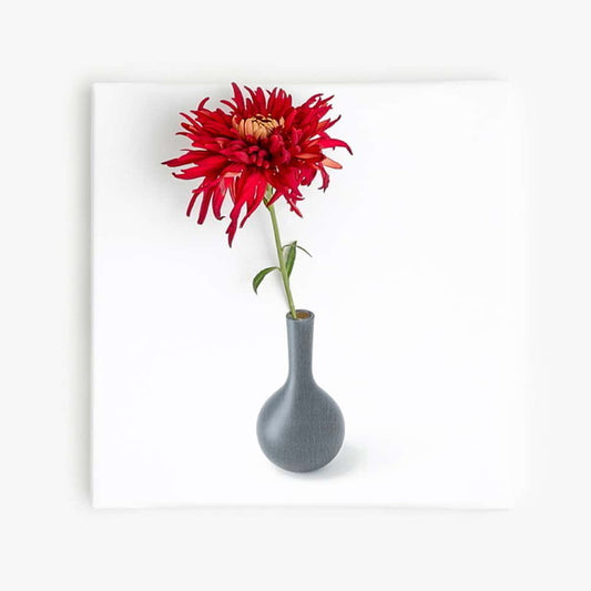 IKEBANA-01-04 生きてるインテリア 30×30×2.7cm アートパネル ファブリックパネル アートボード インテリアパネル 壁掛け 日本製 ラッピング付き lib-IKEBANA-01-04