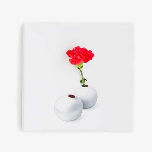 IKEBANA-01-05 生きてるインテリア 30×30×2.7cm アートパネル ファブリックパネル アートボード インテリアパネル 壁掛け 日本製 ラッピング付き lib-IKEBANA-01-05