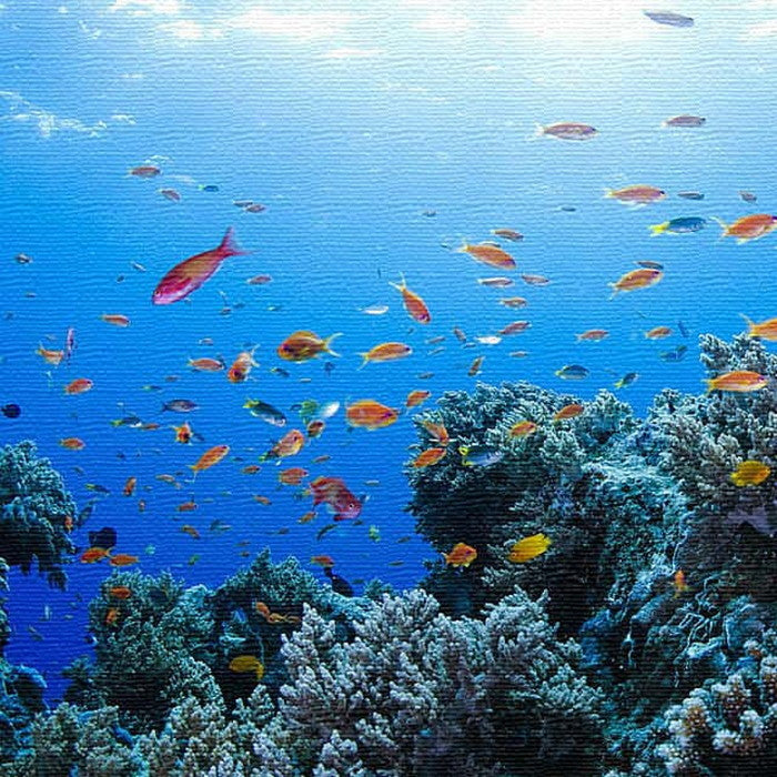 楠哲也氏 撮影 TETSUYA KUSU XLサイズ 100cm×100cm アートパネル ファブリックパネル アートボード 壁掛け 日本製 ラッピング付き 店舗 カフェ ラウンジ ロビー ホテル 法人 lib-kus-0005-xlの画像