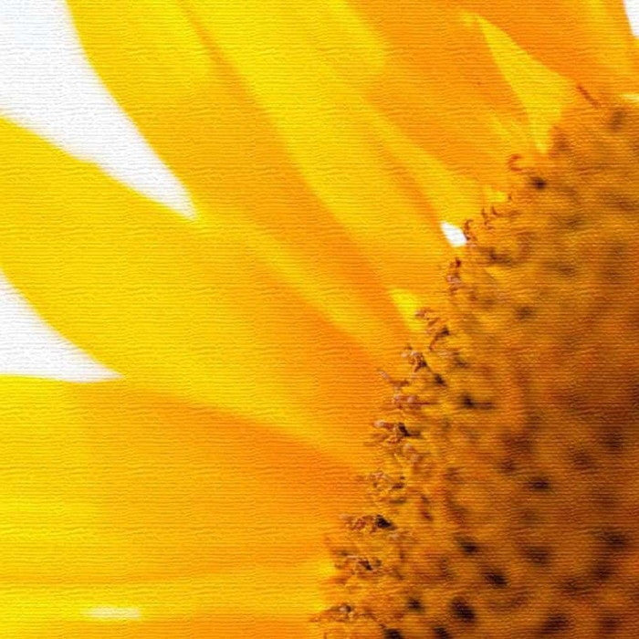 ヒマワリ FLOWER XLサイズ 100cm×100cm アートパネル ファブリックパネル アートボード 壁掛け 日本製 ラッピング付き 店舗 カフェ ラウンジ ロビー ホテル 法人 lib-pho-0011-xlの画像