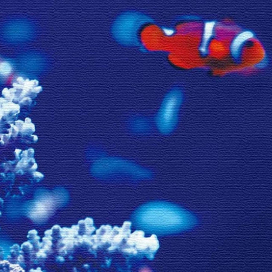 カクレクマノミ FISH XLサイズ 100cm×100cm アートパネル ファブリックパネル アートボード インテリアパネル 壁掛け 日本製 ラッピング付き lib-pho-0032-xl