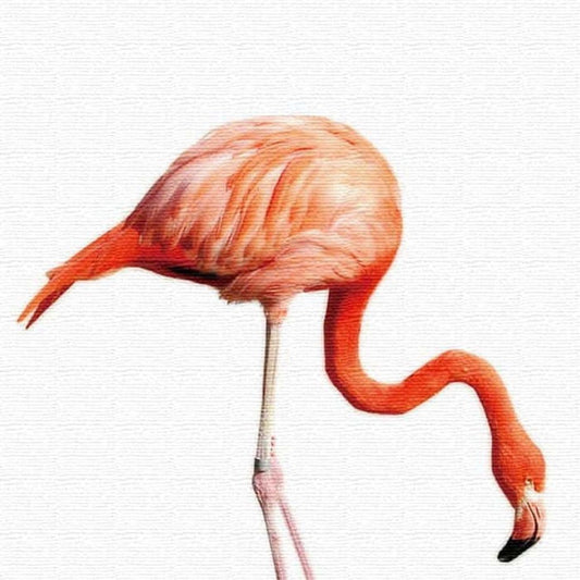 フラミンゴ ANIMAL XLサイズ 100cm×100cm アートパネル ファブリックパネル アートボード 壁掛け 日本製 ラッピング付き 店舗 カフェ ラウンジ ロビー ホテル 法人 lib-pho-0037-xlの画像