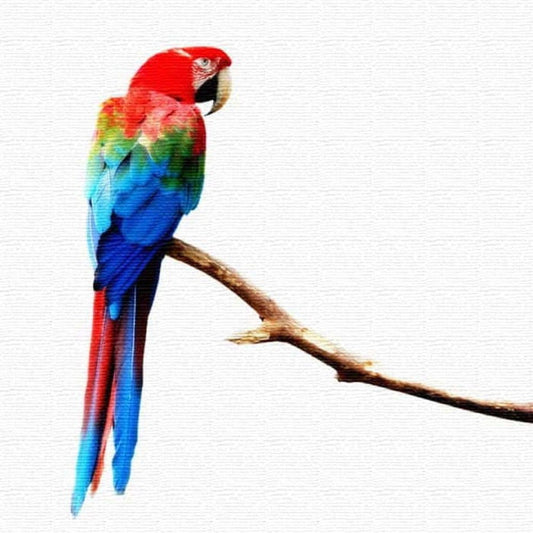 インコ ANIMAL Mサイズ 30cm×30cm アートパネル ファブリックパネル アートボード 壁掛け 日本製 ラッピング付き 店舗 カフェ ラウンジ ロビー ホテル 法人 lib-pho-0046-mの画像