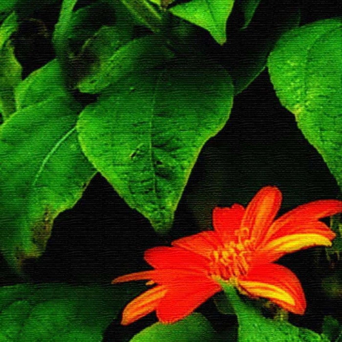 花 写真 PHOTO Mサイズ 30cm×30cm アートパネル ファブリックパネル アートボード 壁掛け 日本製 ラッピング付き 店舗 カフェ ラウンジ ロビー ホテル 法人 lib-pho-0048-mの画像