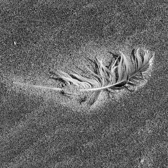 羽モチーフ PHOTO XLサイズ 100cm×100cm アートパネル ファブリックパネル アートボード 壁掛け 日本製 ラッピング付き 店舗 カフェ ラウンジ ロビー ホテル 法人 lib-pho-0066-xlの画像