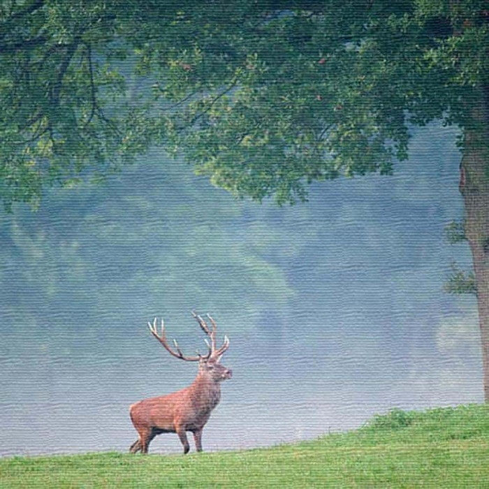 シカモチーフ ANIMAL XLサイズ 100cm×100cm アートパネル ファブリックパネル アートボード 壁掛け 日本製 ラッピング付き 店舗 カフェ ラウンジ ロビー ホテル 法人 lib-pho-0070-xlの画像