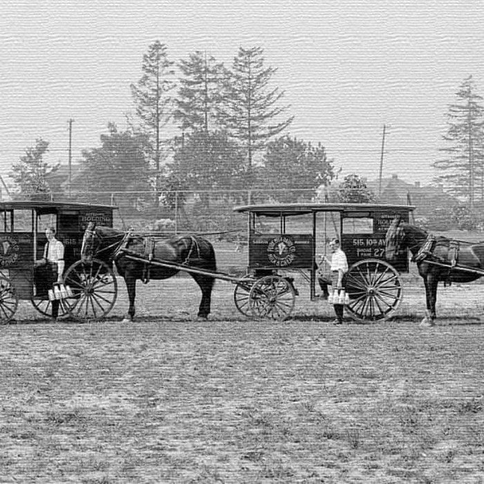 馬車森 写真 PHOTO XLサイズ 100cm×100cm アートパネル ファブリックパネル アートボード インテリアパネル 壁掛け 日本製 ラッピング付き lib-pho-0074-c-xl