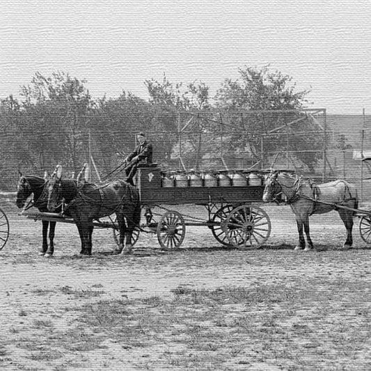 馬車森 写真 PHOTO Lサイズ 57cm×57cm アートパネル ファブリックパネル アートボード インテリアパネル 壁掛け 日本製 ラッピング付き lib-pho-0074-l-l