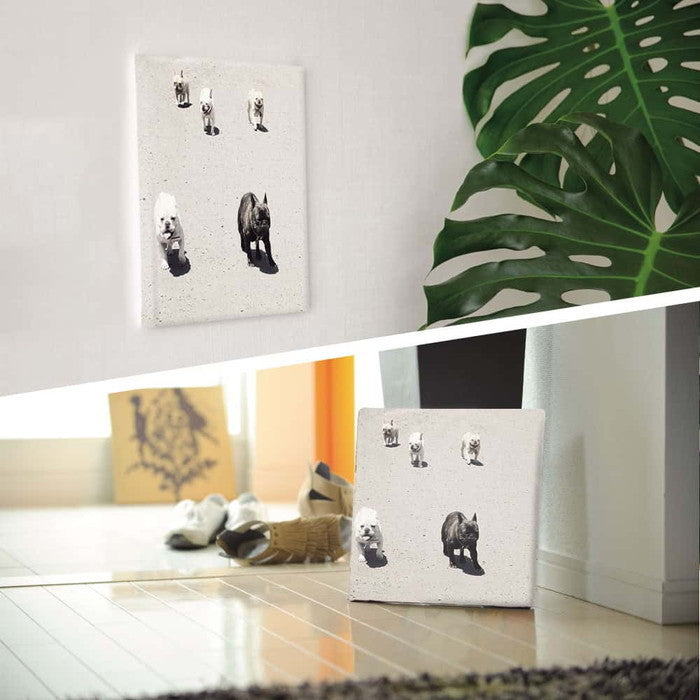 フレンチブルドッグ pho-0081 Mサイズ 30cm×30cm アートパネル ファブリックパネル アートボード 壁掛け 日本製 ラッピング付き 店舗 カフェ ラウンジ ロビー ホテル 法人 lib-pho-0081-mの画像