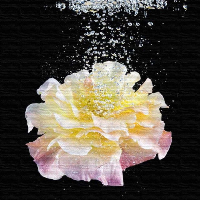 花 FLOWER Lサイズ 57cm×57cm アートパネル ファブリックパネル アートボード 壁掛け 日本製 ラッピング付き 店舗 カフェ ラウンジ ロビー ホテル 法人 lib-pho-0082-lの画像