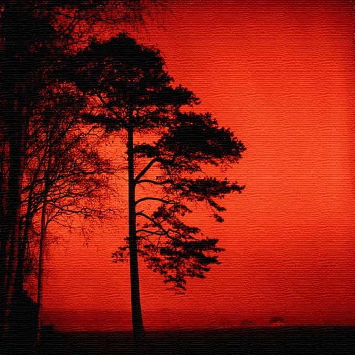 木 シルエット SILHOUETTE XLサイズ 100cm×100cm アートパネル ファブリックパネル アートボード 壁掛け 日本製 ラッピング付き 店舗 カフェ ラウンジ ロビー ホテル 法人 lib-pho-0084-xlの画像