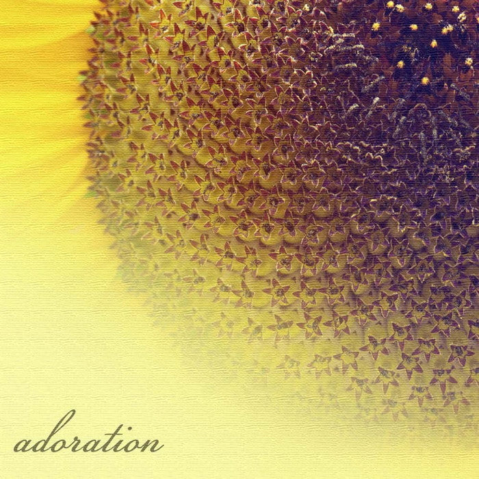 ひまわり アート pho-0086 Mサイズ 30cm×30cm アートパネル ファブリックパネル アートボード 壁掛け 日本製 ラッピング付き 店舗 カフェ ラウンジ ロビー ホテル 法人 lib-pho-0086-mの画像