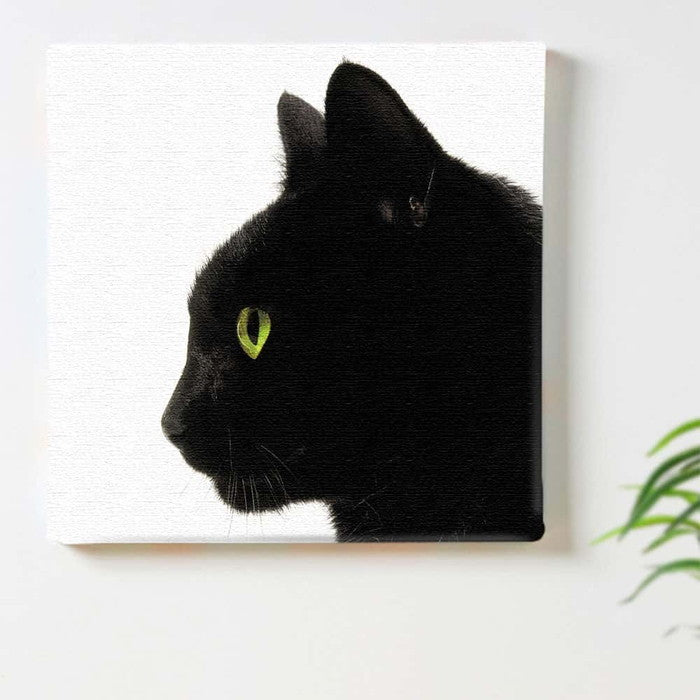 黒猫 Lサイズ 57cm×57cm アートパネル ファブリックパネル アートボード 壁掛け 日本製 ラッピング付き 店舗 カフェ ラウンジ ロビー ホテル 法人 lib-pho-0101-lの画像