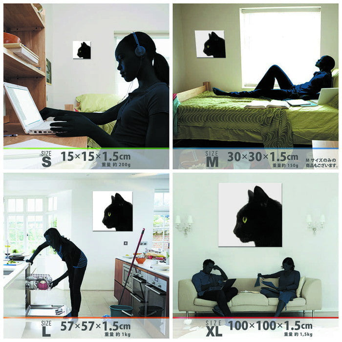 黒猫 XLサイズ 100cm×100cm アートパネル ファブリックパネル アートボード 壁掛け 日本製 ラッピング付き 店舗 カフェ ラウンジ ロビー ホテル 法人 lib-pho-0101-xlの画像