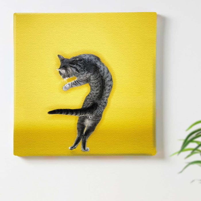 猫 Lサイズ 57cm×57cm アートパネル ファブリックパネル アートボード 壁掛け 日本製 ラッピング付き 店舗 カフェ ラウンジ ロビー ホテル 法人 lib-pho-0102-lの画像