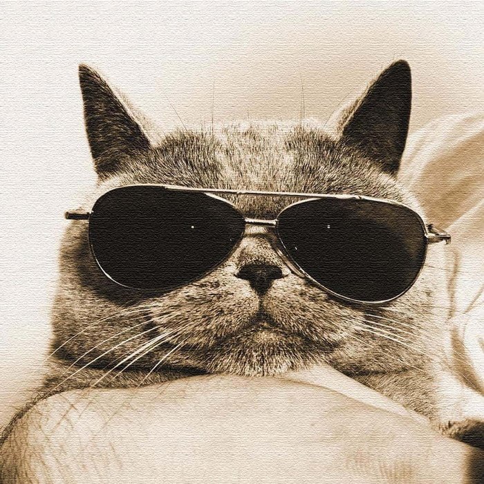 猫 アート Sサイズ 15cm×15cm アートパネル ファブリックパネル アートボード 壁掛け 日本製 ラッピング付き 店舗 カフェ ラウンジ ロビー ホテル 法人 lib-pho-0103-sの画像