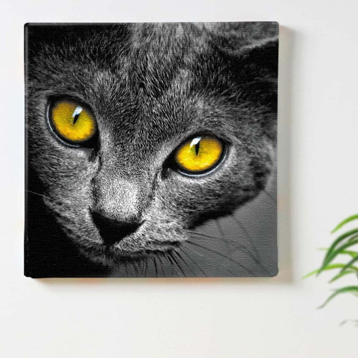 猫 Lサイズ 57cm×57cm アートパネル ファブリックパネル アートボード 壁掛け 日本製 ラッピング付き 店舗 カフェ ラウンジ ロビー ホテル 法人 lib-pho-0104-lの画像