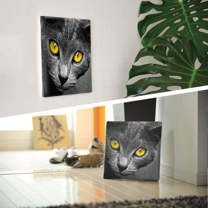 猫 Lサイズ 57cm×57cm アートパネル ファブリックパネル アートボード 壁掛け 日本製 ラッピング付き 店舗 カフェ ラウンジ ロビー ホテル 法人 lib-pho-0104-lの画像