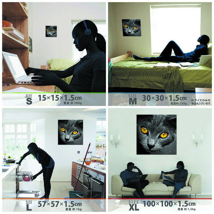 猫 XLサイズ 100cm×100cm アートパネル ファブリックパネル アートボード 壁掛け 日本製 ラッピング付き 店舗 カフェ ラウンジ ロビー ホテル 法人 lib-pho-0104-xlの画像