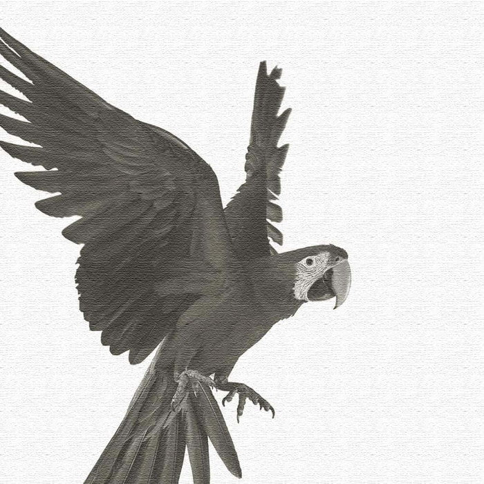 鳥 pho-0108 XLサイズ 100cm×100cm アートパネル ファブリックパネル アートボード 壁掛け 日本製 ラッピング付き 店舗 カフェ ラウンジ ロビー ホテル 法人 lib-pho-0108-xlの画像