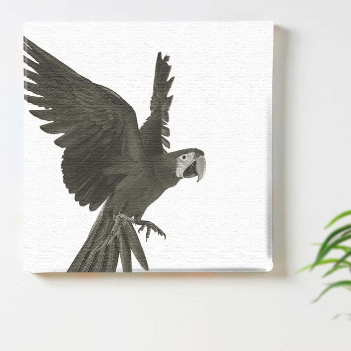 鳥 pho-0108 XLサイズ 100cm×100cm アートパネル ファブリックパネル アートボード 壁掛け 日本製 ラッピング付き 店舗 カフェ ラウンジ ロビー ホテル 法人 lib-pho-0108-xlの画像