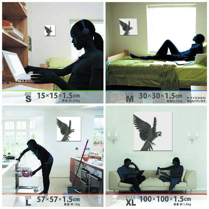鳥 pho-0108 XLサイズ 100cm×100cm アートパネル ファブリックパネル アートボード 壁掛け 日本製 ラッピング付き 店舗 カフェ ラウンジ ロビー ホテル 法人 lib-pho-0108-xlの画像