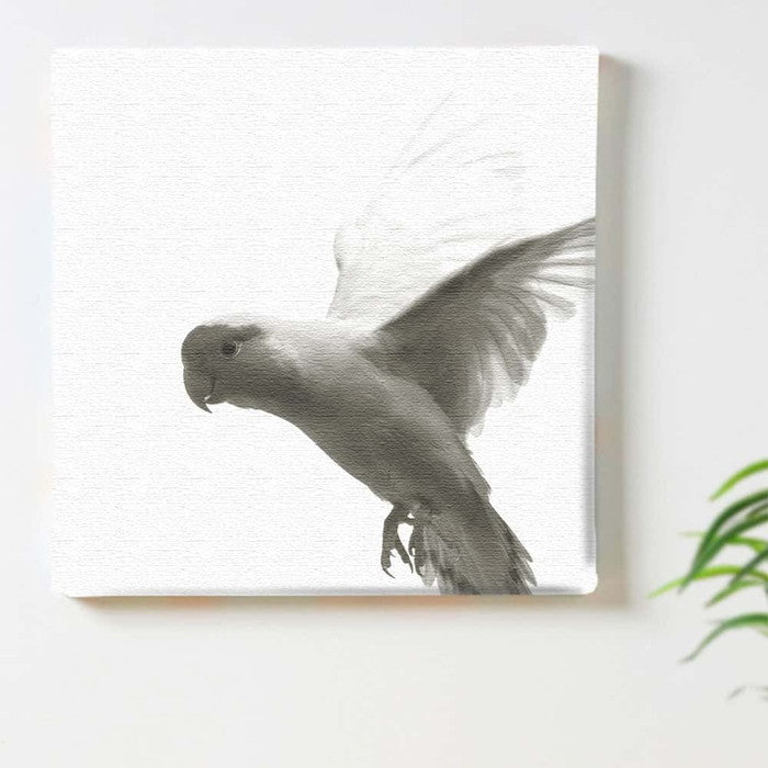 鳥 pho-0109 Mサイズ 30cm×30cm アートパネル ファブリックパネル アートボード 壁掛け 日本製 ラッピング付き 店舗 カフェ ラウンジ ロビー ホテル 法人 lib-pho-0109-mの画像