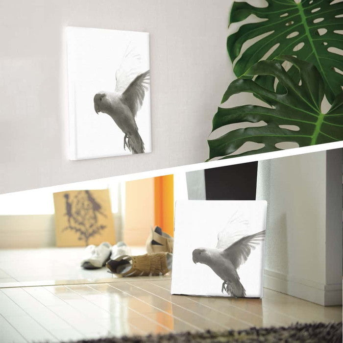 鳥 pho-0109 Mサイズ 30cm×30cm アートパネル ファブリックパネル アートボード 壁掛け 日本製 ラッピング付き 店舗 カフェ ラウンジ ロビー ホテル 法人 lib-pho-0109-mの画像