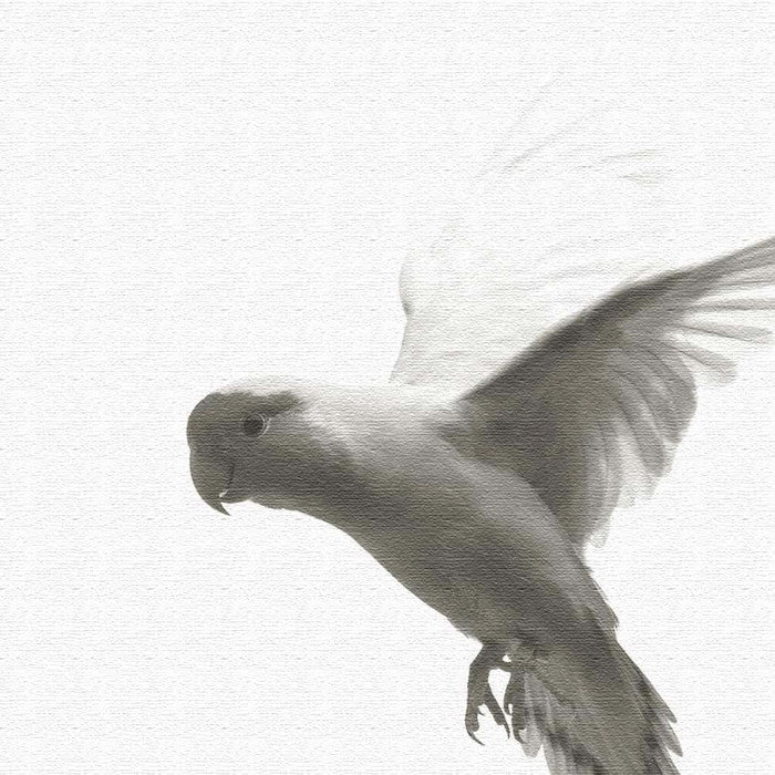 鳥 pho-0109 Sサイズ 15cm×15cm アートパネル ファブリックパネル アートボード 壁掛け 日本製 ラッピング付き 店舗 カフェ ラウンジ ロビー ホテル 法人 lib-pho-0109-sの画像