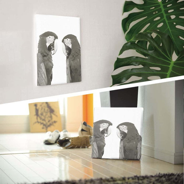 鳥 pho-0110 Mサイズ 30cm×30cm アートパネル ファブリックパネル アートボード 壁掛け 日本製 ラッピング付き 店舗 カフェ ラウンジ ロビー ホテル 法人 lib-pho-0110-mの画像