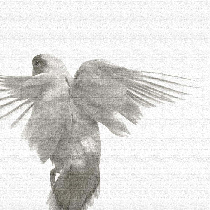 鳥 pho-0111 Lサイズ 57cm×57cm アートパネル ファブリックパネル アートボード 壁掛け 日本製 ラッピング付き 店舗 カフェ ラウンジ ロビー ホテル 法人 lib-pho-0111-lの画像