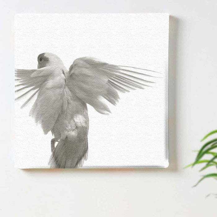 鳥 pho-0111 Sサイズ 15cm×15cm アートパネル ファブリックパネル アートボード 壁掛け 日本製 ラッピング付き 店舗 カフェ ラウンジ ロビー ホテル 法人 lib-pho-0111-sの画像