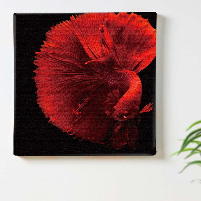 モダンアート 金魚 phot-1812-001 Sサイズ 15cm×15cm アートパネル ファブリックパネル アートボード 壁掛け 日本製 ラッピング付き 店舗 カフェ ラウンジ ロビー ホテル 法人 lib-phot-1812-001-sの画像