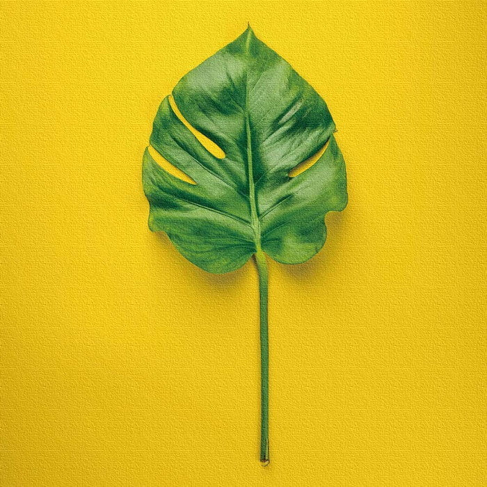 モダンアート phot-1812-004 Lサイズ 57cm×57cm アートパネル ファブリックパネル アートボード 壁掛け 日本製 ラッピング付き 店舗 カフェ ラウンジ ロビー ホテル 法人 lib-phot-1812-004-lの画像