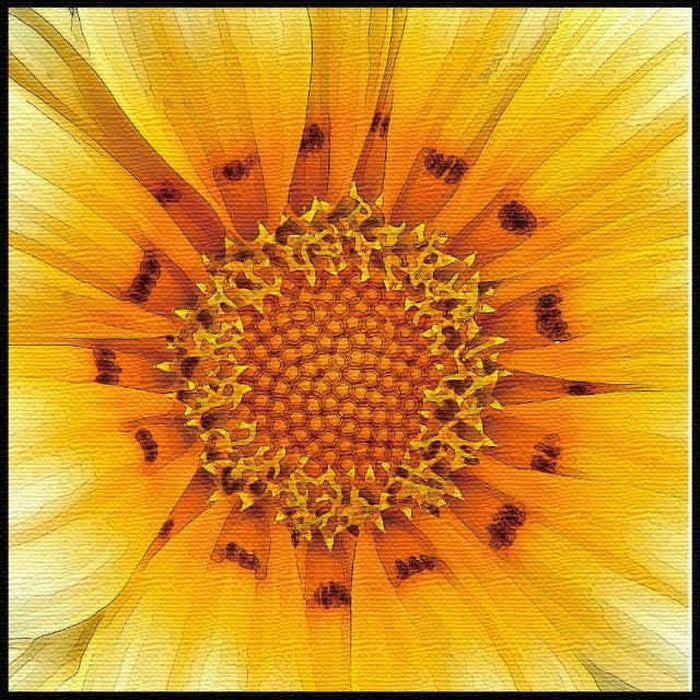 ヒマワリモチーフ ポップ POP XLサイズ 100cm×100cm アートパネル ファブリックパネル アートボード 壁掛け 日本製 ラッピング付き 店舗 カフェ ラウンジ ロビー ホテル 法人 lib-pop-0004-xlの画像