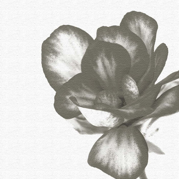 植物 pop-0101 XLサイズ 100cm×100cm アートパネル ファブリックパネル アートボード 壁掛け 日本製 ラッピング付き 店舗 カフェ ラウンジ ロビー ホテル 法人 lib-pop-0101-xlの画像