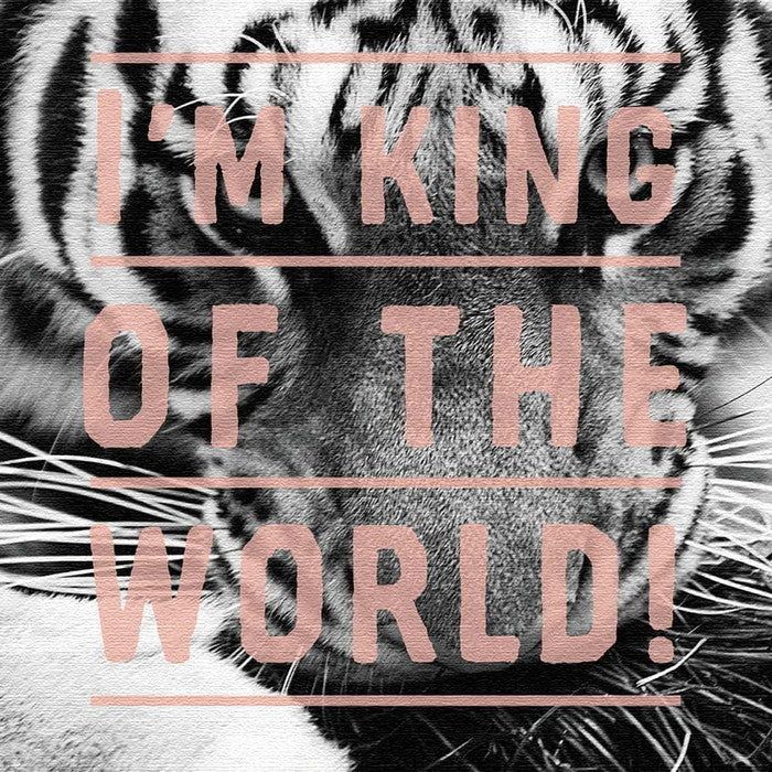 トラ タイポグラフィ popa-1705-04 Mサイズ 30cm×30cm アートパネル ファブリックパネル アートボード 壁掛け 日本製 ラッピング付き 店舗 カフェ ラウンジ ロビー ホテル 法人 lib-popa-1705-04-mの画像